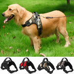 Dog Harness Collar Adjustable Padded